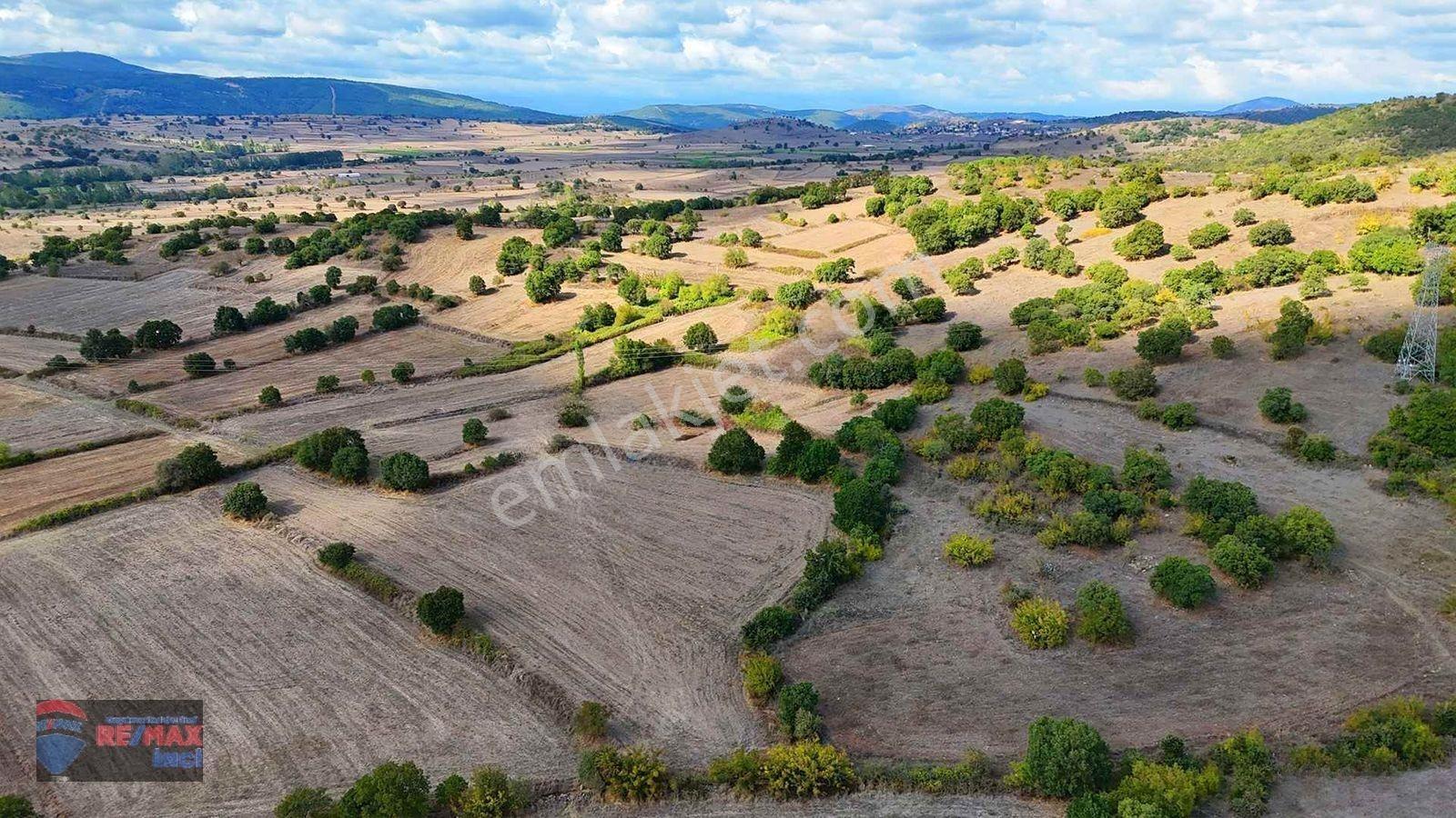 Re/max İnci'den Balya Narlı Mah’de Satılık Sulama Barajı Yakını Tarla — fotoğraf 11