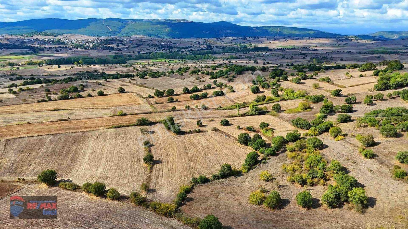 Re/max İnci'den Balya Narlı Mah’de Satılık Sulama Barajı Yakını Tarla — fotoğraf 21