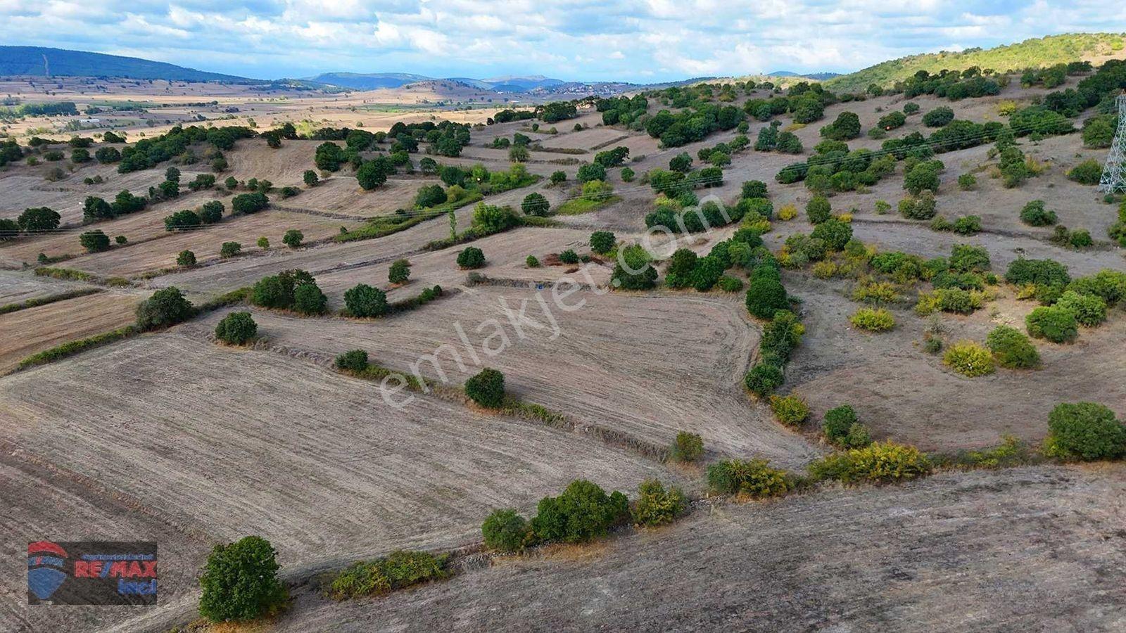 Re/max İnci'den Balya Narlı Mah’de Satılık Sulama Barajı Yakını Tarla — fotoğraf 29