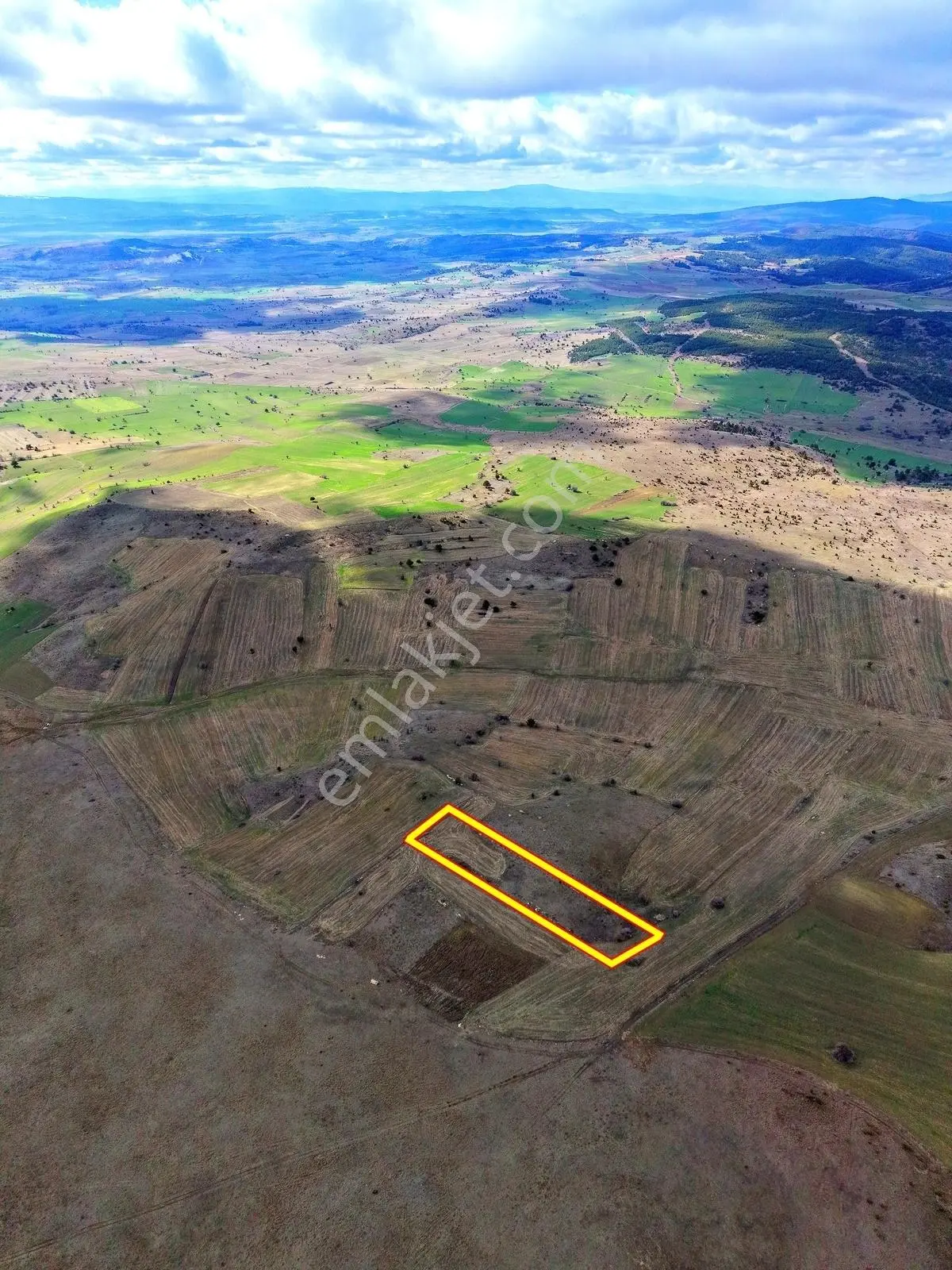 Kütahya Merkez 2.891 M2 Organizeye Yakın Dümdüz Fırsat Arazi