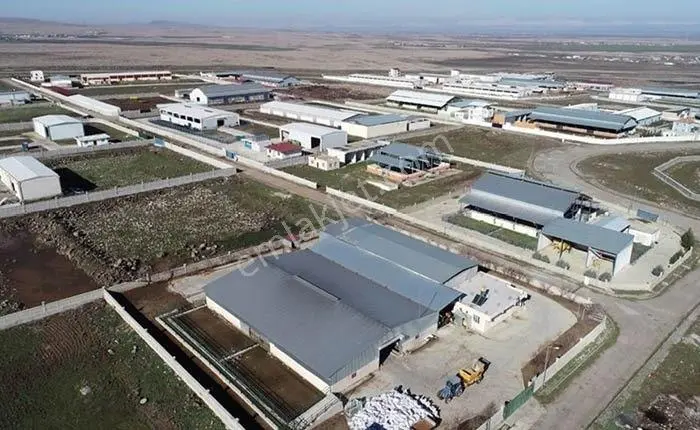 Kütahya Merkez 2.891 M2 Organizeye Yakın Dümdüz Fırsat Arazi — fotoğraf 2