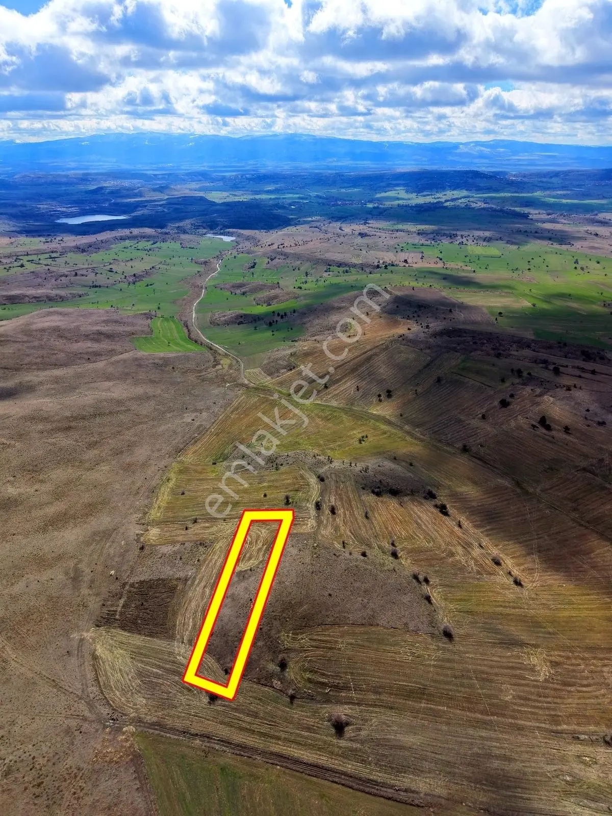 Kütahya Merkez 2.891 M2 Organizeye Yakın Dümdüz Fırsat Arazi — fotoğraf 5