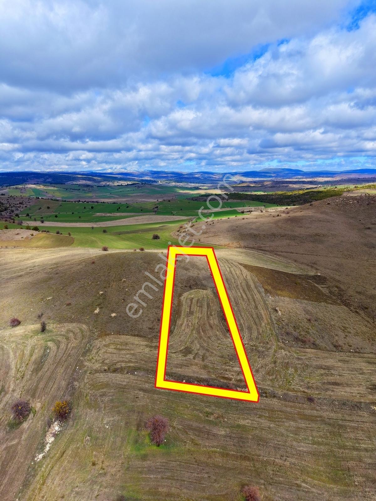 Kütahya Merkez 2.891 M2 Organizeye Yakın Dümdüz Fırsat Arazi — fotoğraf 6