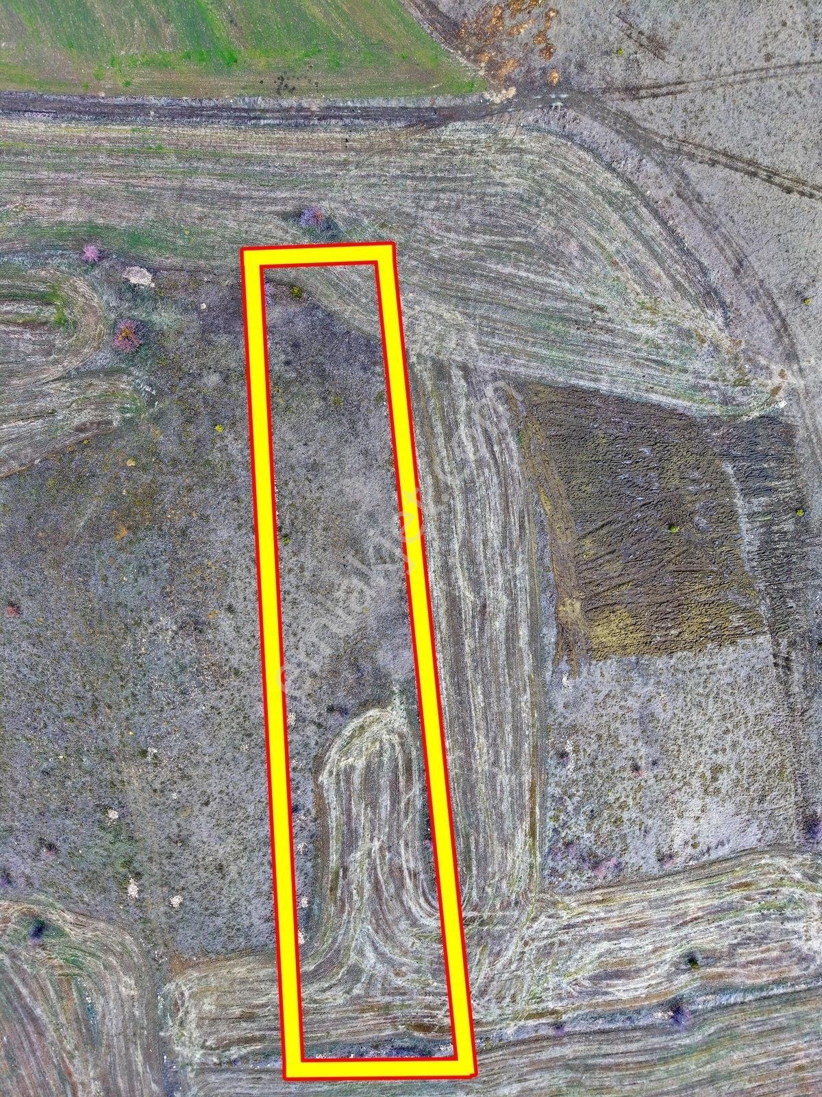 Kütahya Merkez 2.891 M2 Organizeye Yakın Dümdüz Fırsat Arazi — fotoğraf 7