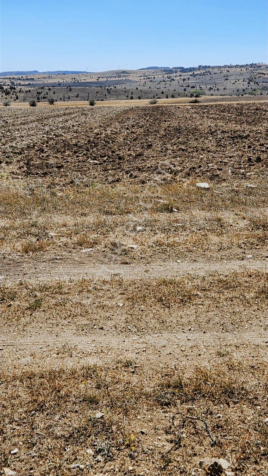 Kütahya Merkez 2.891 M2 Organizeye Yakın Dümdüz Fırsat Arazi — fotoğraf 8