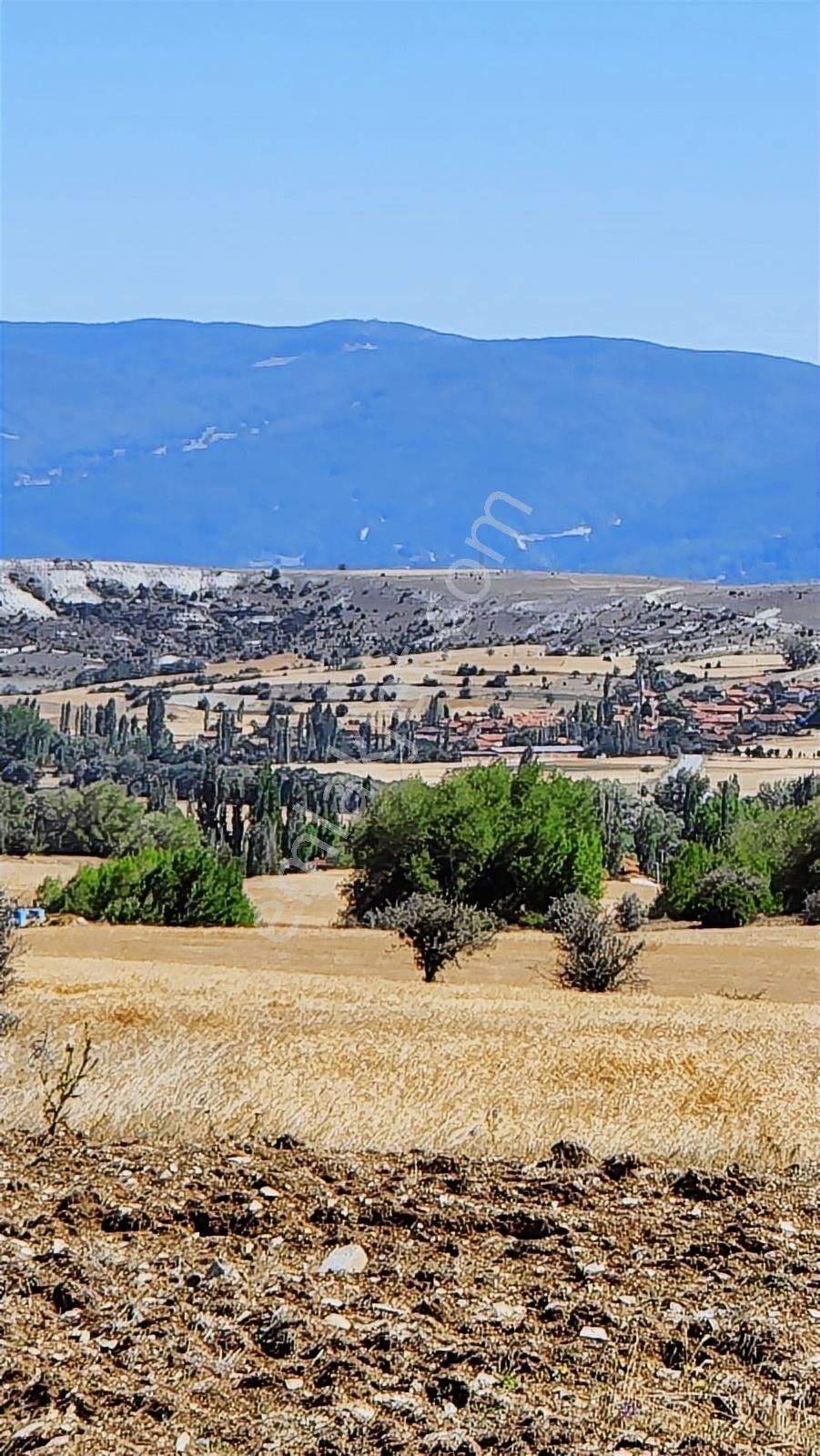 Kütahya Merkez 2.891 M2 Organizeye Yakın Dümdüz Fırsat Arazi — fotoğraf 9
