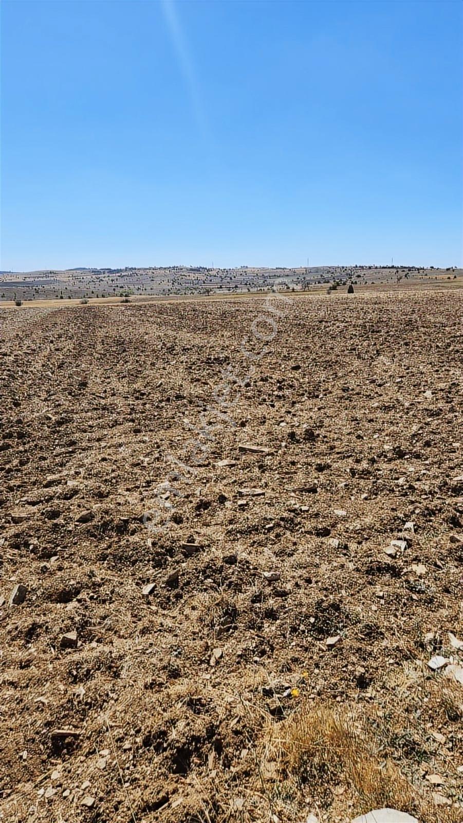 Kütahya Merkez 2.891 M2 Organizeye Yakın Dümdüz Fırsat Arazi — fotoğraf 10
