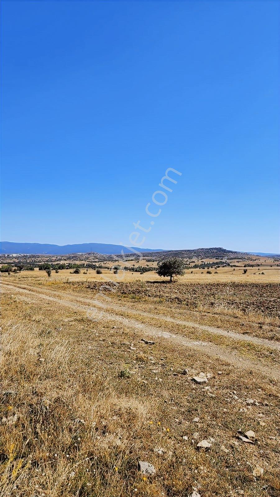 Kütahya Merkez 2.891 M2 Organizeye Yakın Dümdüz Fırsat Arazi — fotoğraf 11