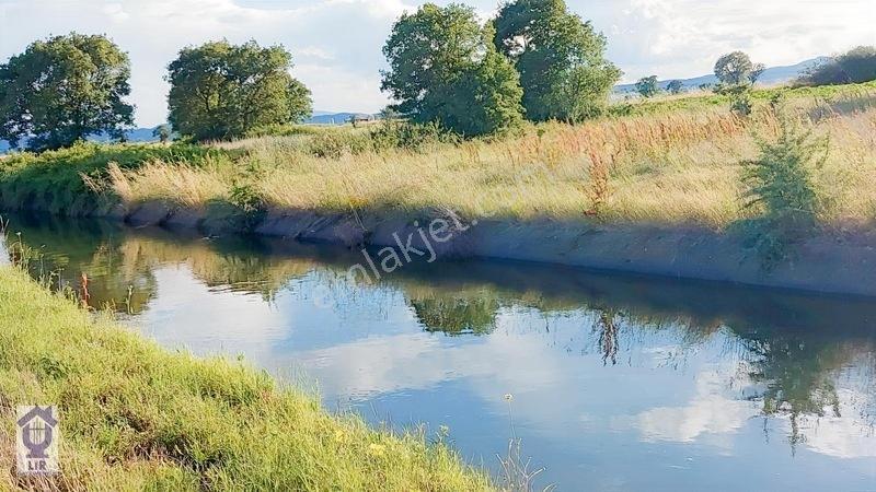 Lir Den Çanakkale Biga Pekmezli De 691 M2 Müstakil Tarla