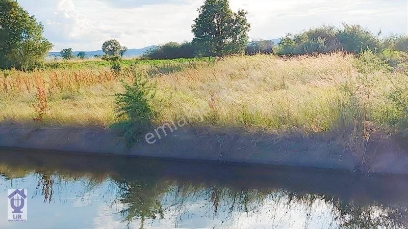 Lir Den Çanakkale Biga Pekmezli De 691 M2 Müstakil Tarla — fotoğraf 2