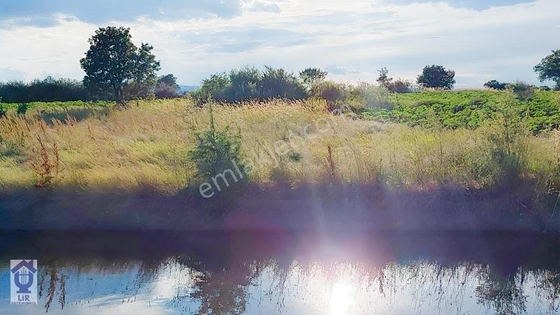 Lir Den Çanakkale Biga Pekmezli De 691 M2 Müstakil Tarla — fotoğraf 3