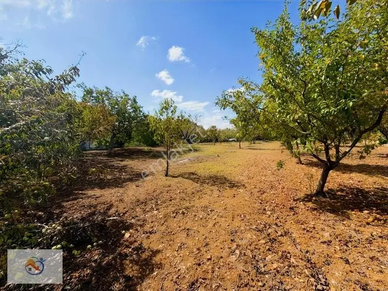 Çatalca Çakıl Ana Cadde Üzeri 5.500 M2 Tek Tapulu Arsa — fotoğraf 5
