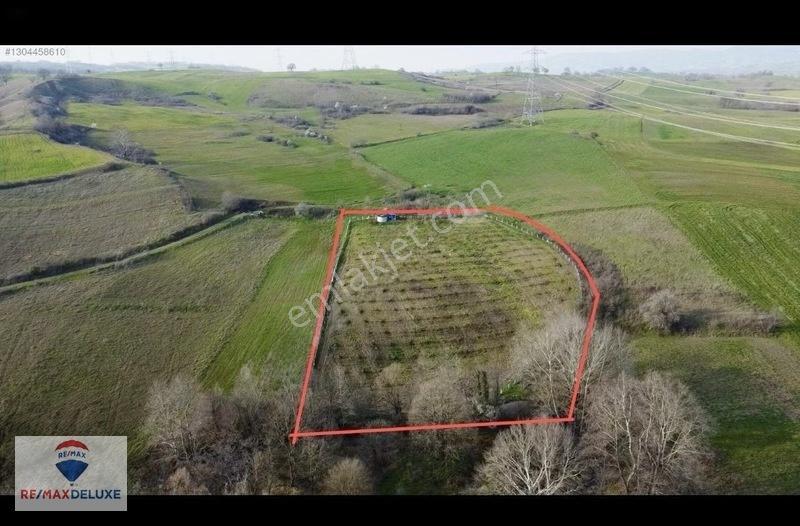 Kızderbent'Te 320 Hurma Ağaçlı 7.400 M² %5 İmarlı 3 Tarafı Yol
