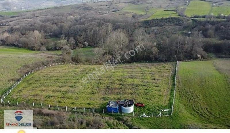 Kızderbent'te 320 Hurma Ağaçlı 7.400 M² %5 İmarlı 3 Tarafı Yol — fotoğraf 3