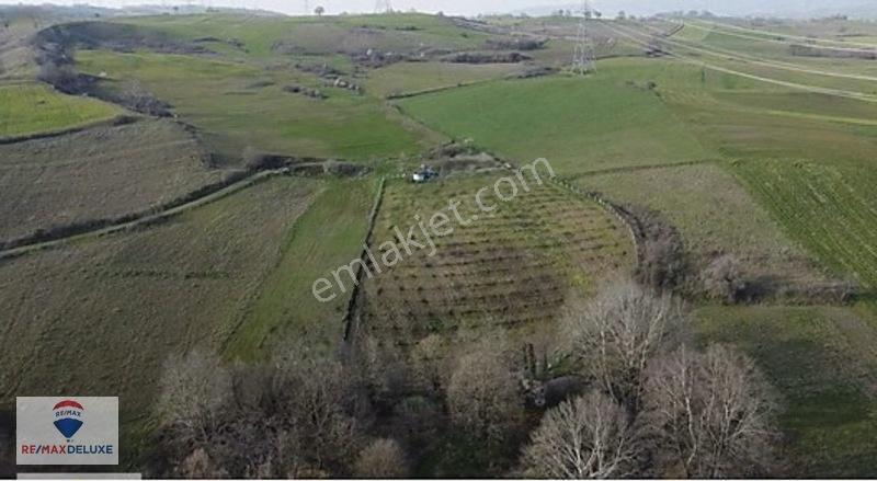 Kızderbent'te 320 Hurma Ağaçlı 7.400 M² %5 İmarlı 3 Tarafı Yol — fotoğraf 4