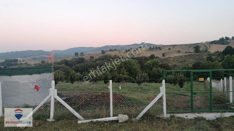 Kızderbent'te 320 Hurma Ağaçlı 7.400 M² %5 İmarlı 3 Tarafı Yol — fotoğraf 8