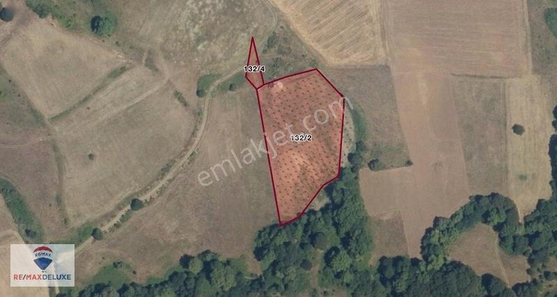 Kızderbent'te 320 Hurma Ağaçlı 7.400 M² %5 İmarlı 3 Tarafı Yol — fotoğraf 10