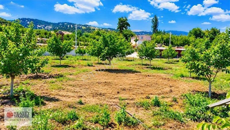 Kaş Kızılağaç Da Ceviz Bahçesi — fotoğraf 8