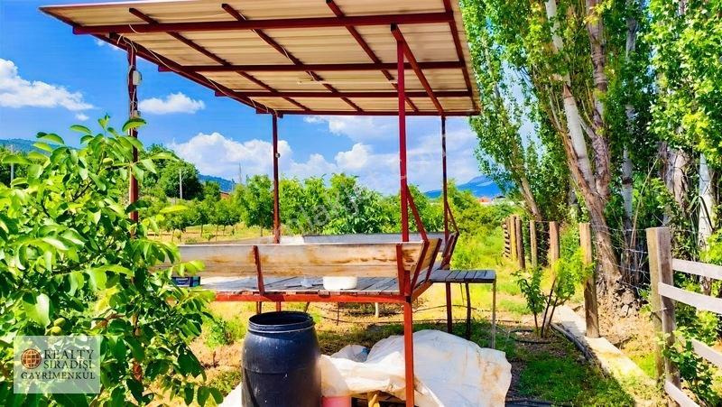 Kaş Kızılağaç Da Ceviz Bahçesi — fotoğraf 11