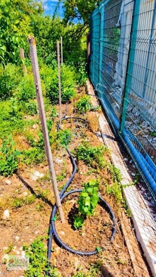 Kaş Kızılağaç Da Ceviz Bahçesi — fotoğraf 23