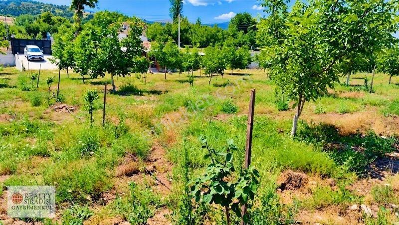 Kaş Kızılağaç Da Ceviz Bahçesi — fotoğraf 25