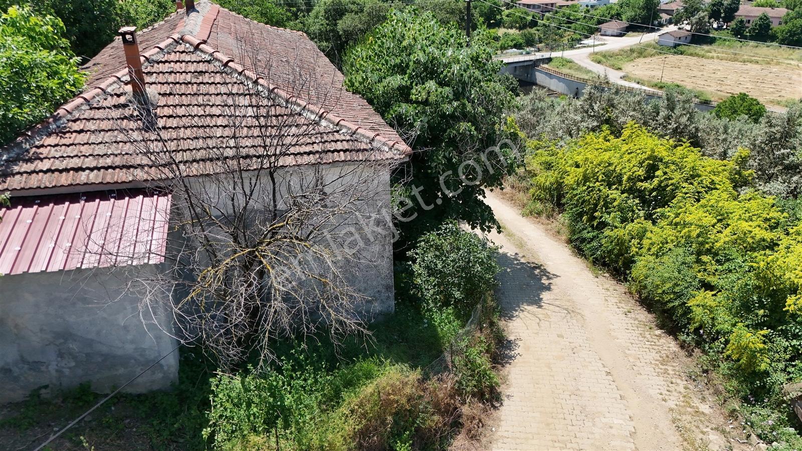 2.500 M² Dereköy'de Zeytinlikle Müstakil Köy Evi Doğa Ve Huzur — fotoğraf 2