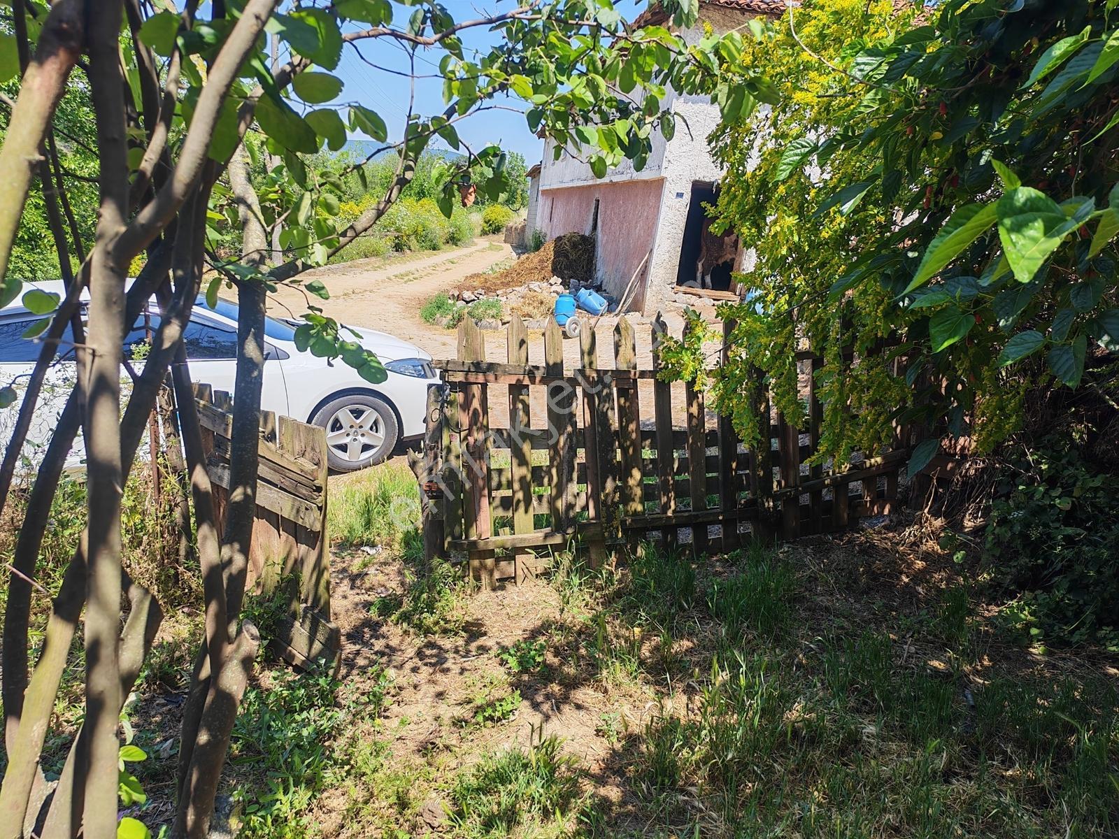 2.500 M² Dereköy'de Zeytinlikle Müstakil Köy Evi Doğa Ve Huzur — fotoğraf 3