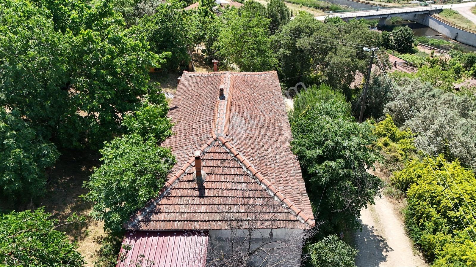 2.500 M² Dereköy'de Zeytinlikle Müstakil Köy Evi Doğa Ve Huzur — fotoğraf 4