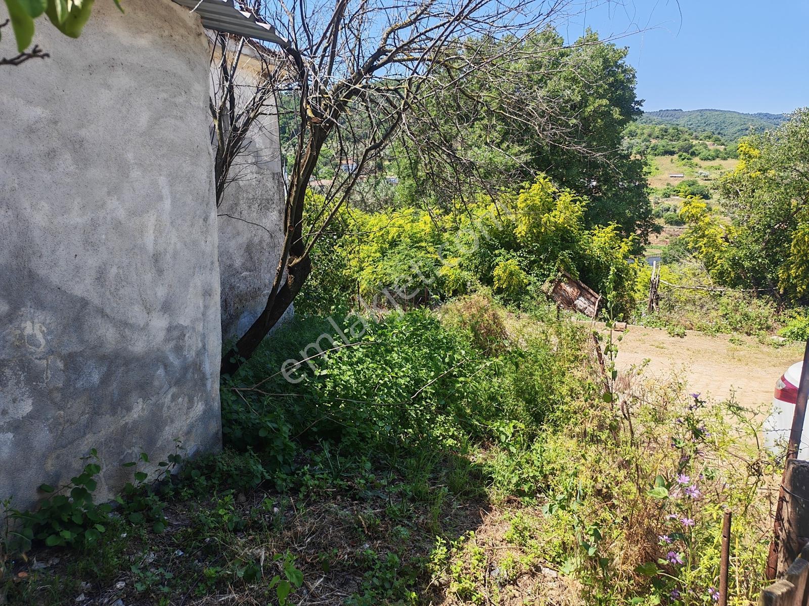 2.500 M² Dereköy'de Zeytinlikle Müstakil Köy Evi Doğa Ve Huzur — fotoğraf 5