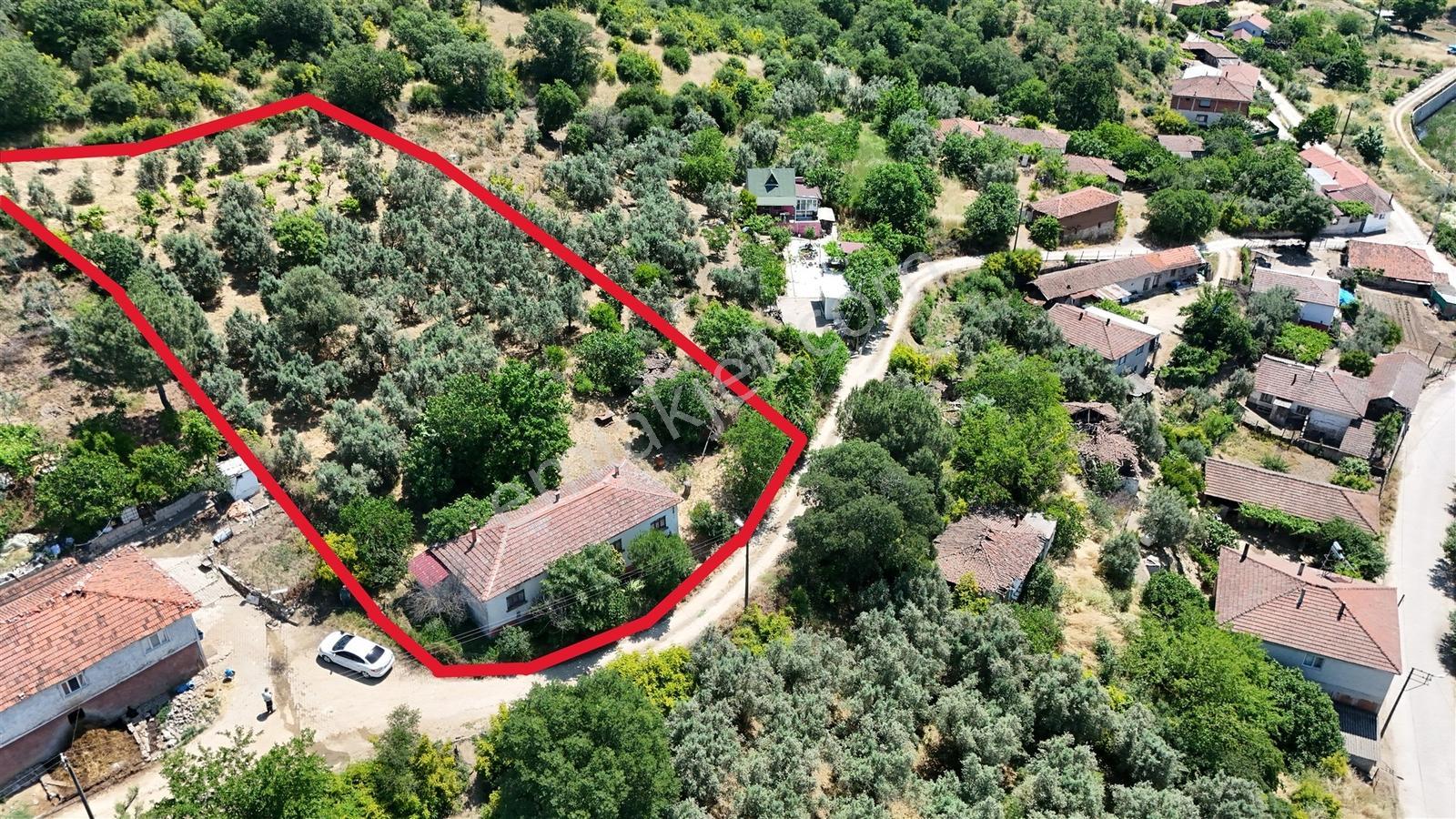 2.500 M² Dereköy'de Zeytinlikle Müstakil Köy Evi Doğa Ve Huzur — fotoğraf 6