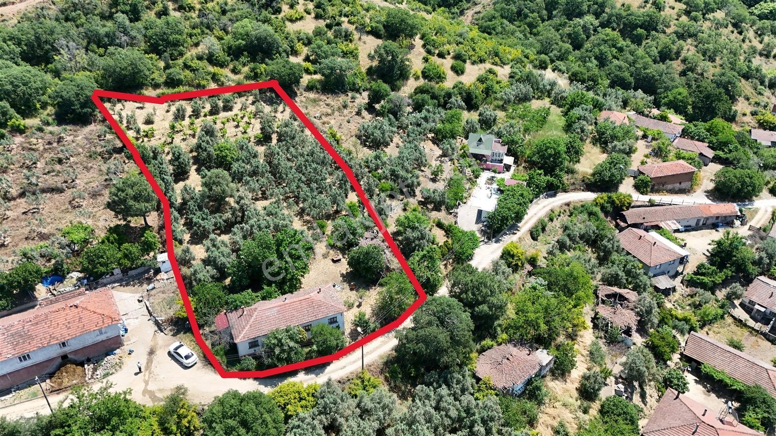 2.500 M² Dereköy'de Zeytinlikle Müstakil Köy Evi Doğa Ve Huzur — fotoğraf 8