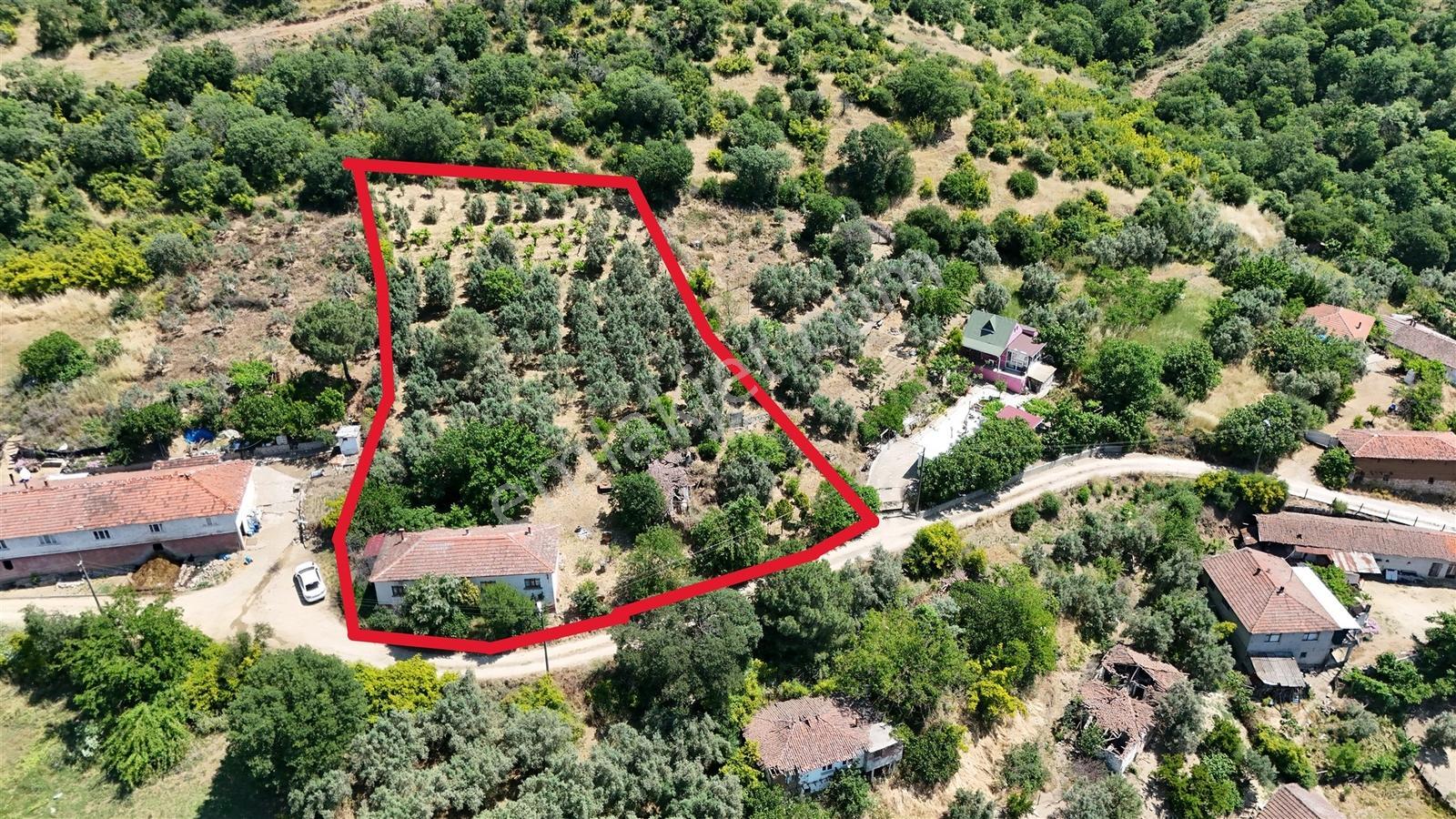 2.500 M² Dereköy'de Zeytinlikle Müstakil Köy Evi Doğa Ve Huzur — fotoğraf 10
