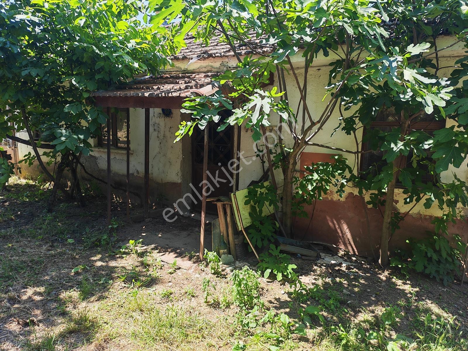 2.500 M² Dereköy'de Zeytinlikle Müstakil Köy Evi Doğa Ve Huzur — fotoğraf 11