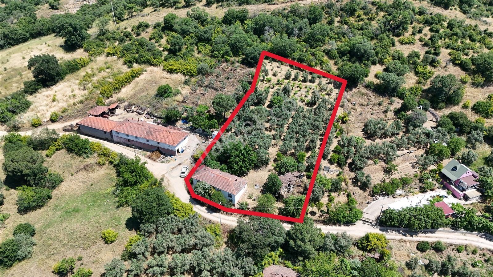 2.500 M² Dereköy'de Zeytinlikle Müstakil Köy Evi Doğa Ve Huzur — fotoğraf 12