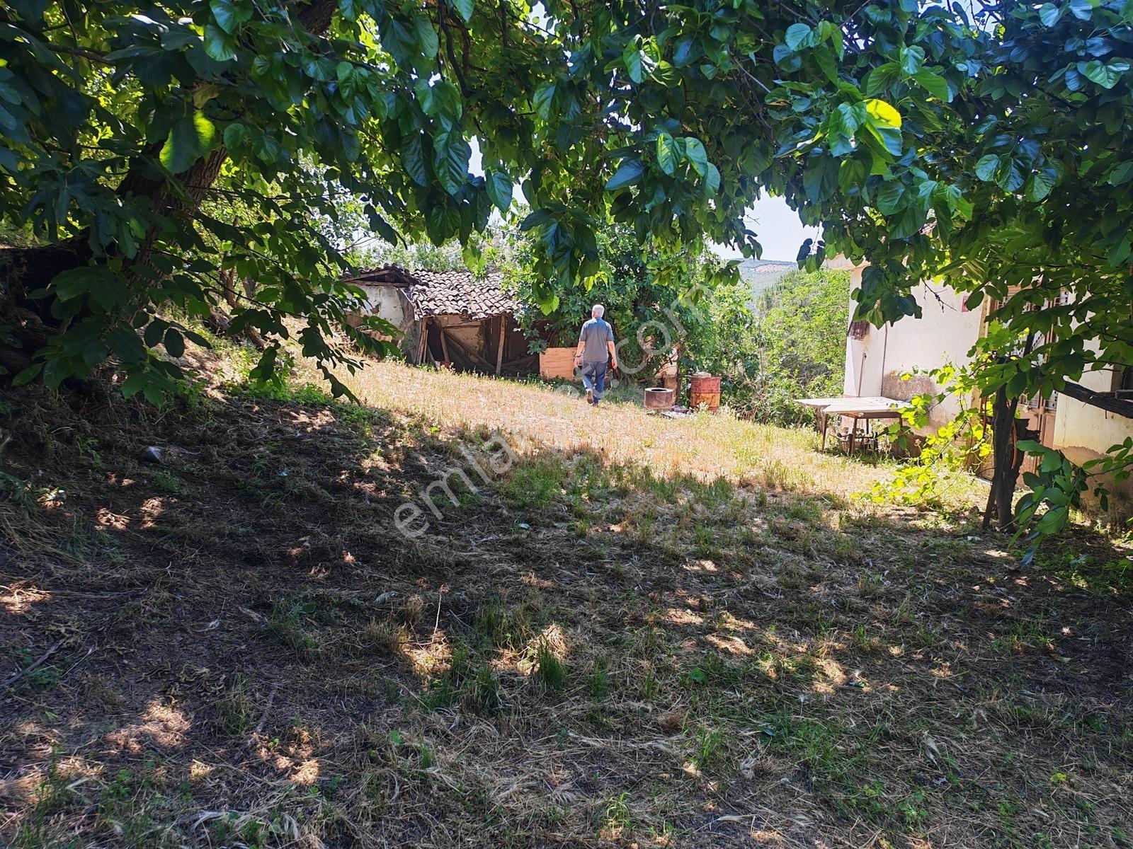 2.500 M² Dereköy'de Zeytinlikle Müstakil Köy Evi Doğa Ve Huzur — fotoğraf 13