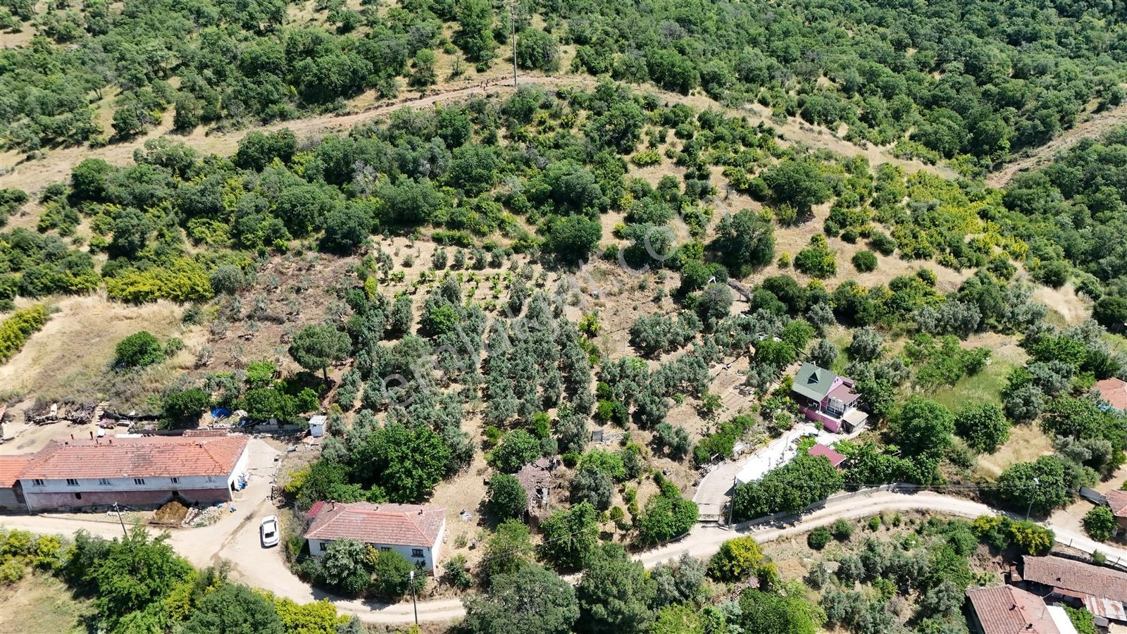 2.500 M² Dereköy'de Zeytinlikle Müstakil Köy Evi Doğa Ve Huzur — fotoğraf 14