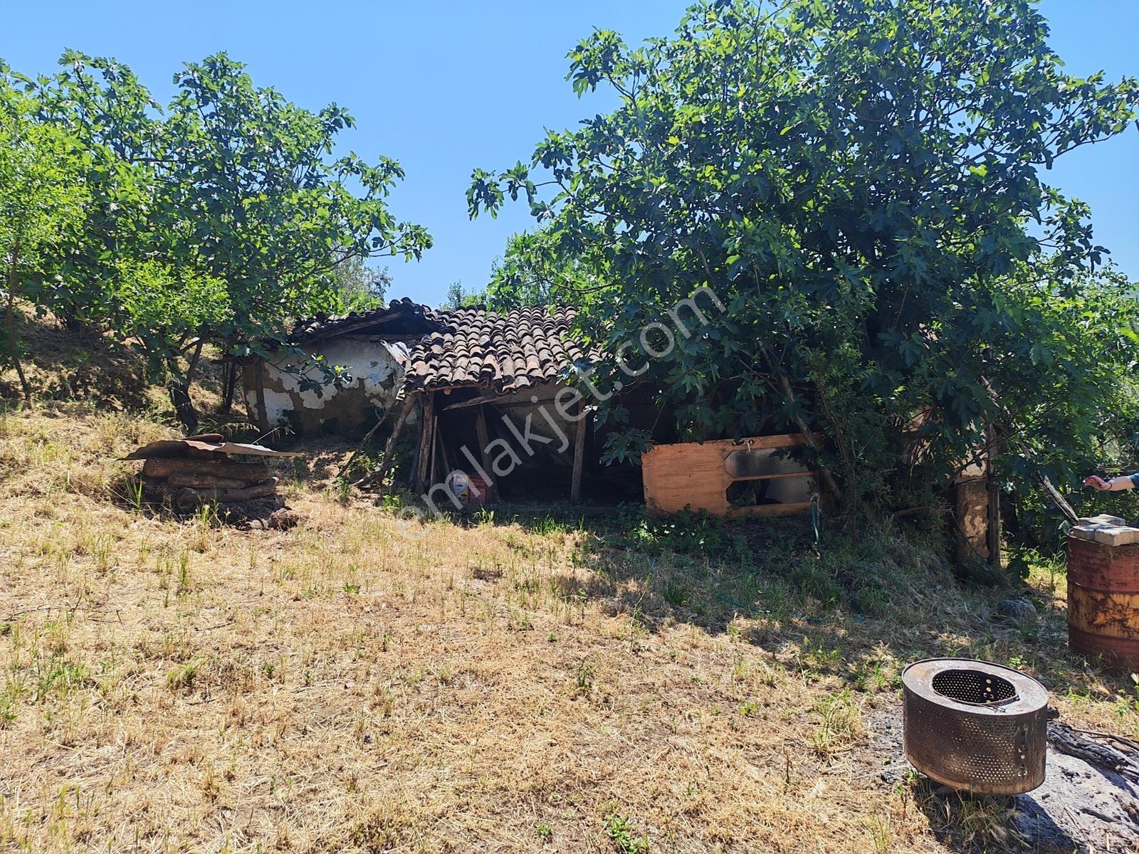 2.500 M² Dereköy'de Zeytinlikle Müstakil Köy Evi Doğa Ve Huzur — fotoğraf 15