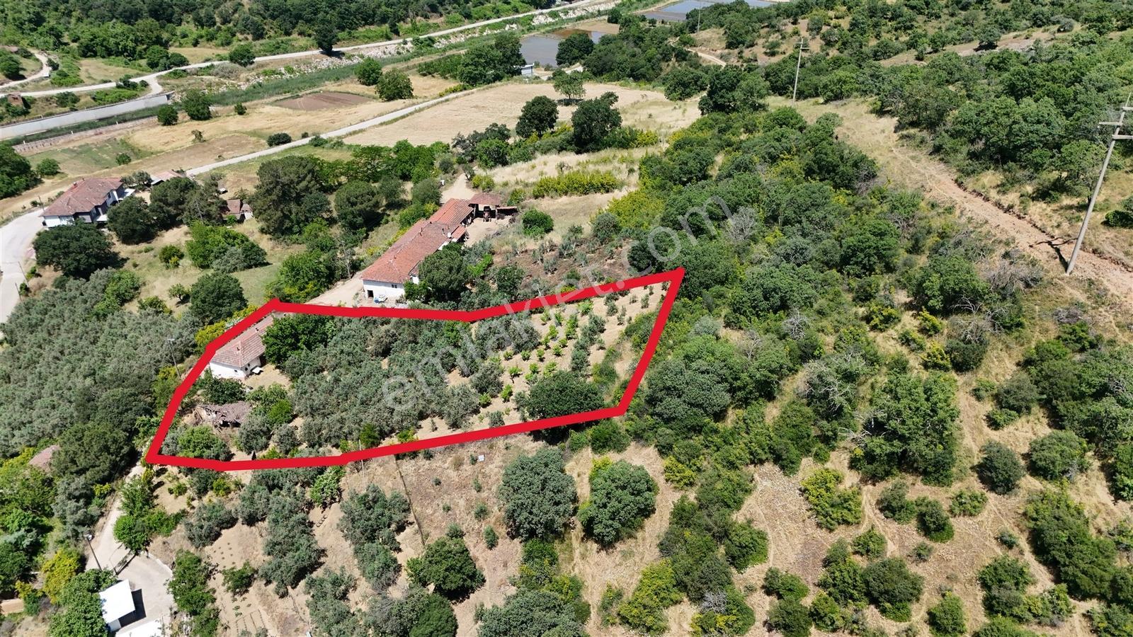 2.500 M² Dereköy'de Zeytinlikle Müstakil Köy Evi Doğa Ve Huzur — fotoğraf 16