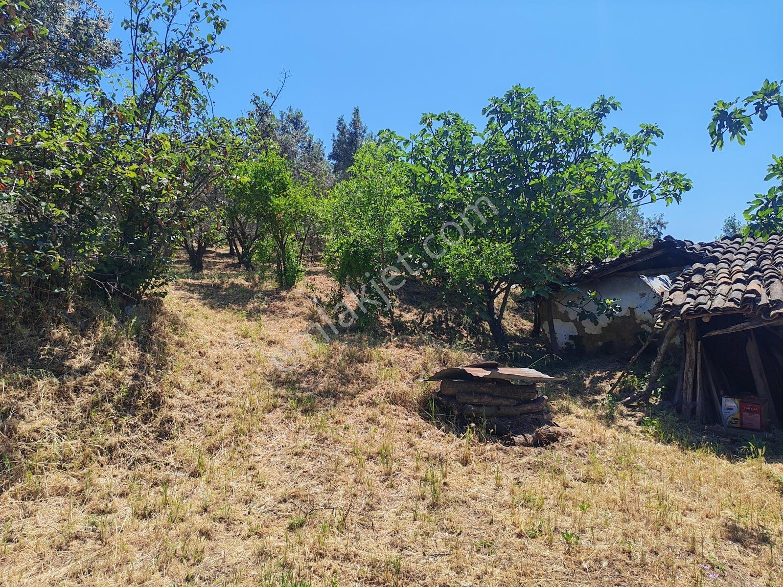2.500 M² Dereköy'de Zeytinlikle Müstakil Köy Evi Doğa Ve Huzur — fotoğraf 17