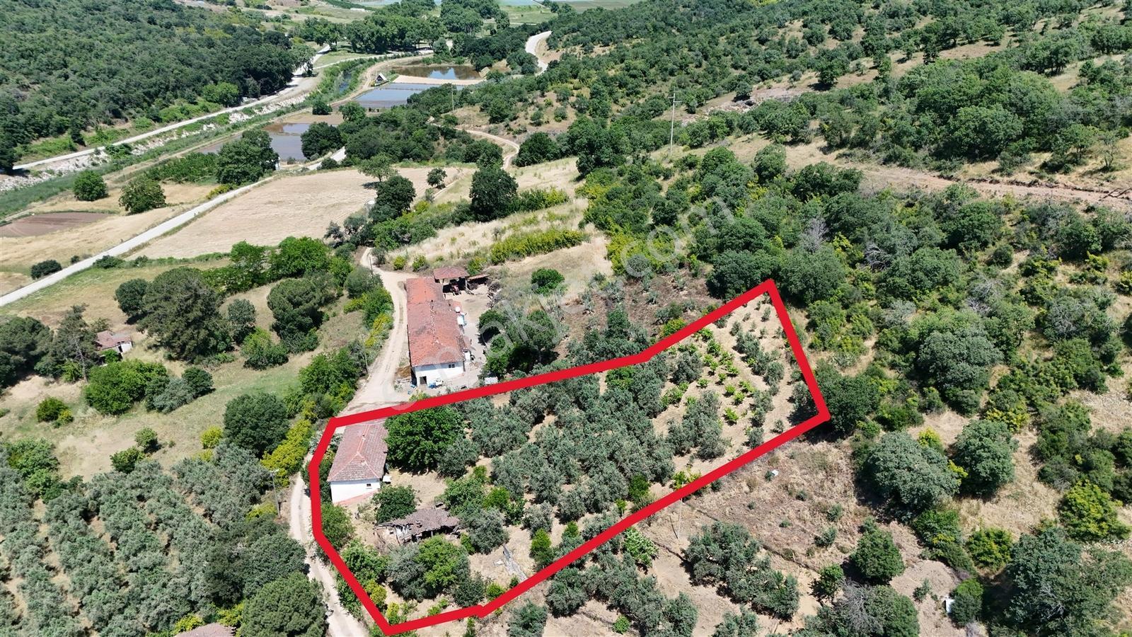 2.500 M² Dereköy'de Zeytinlikle Müstakil Köy Evi Doğa Ve Huzur — fotoğraf 18