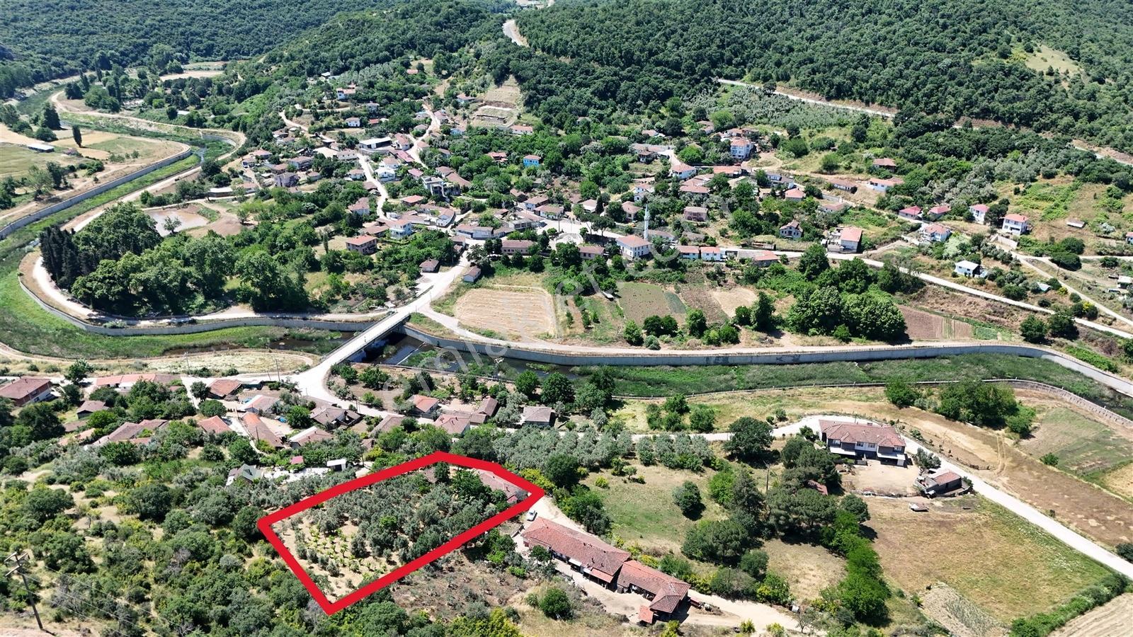 2.500 M² Dereköy'de Zeytinlikle Müstakil Köy Evi Doğa Ve Huzur — fotoğraf 20