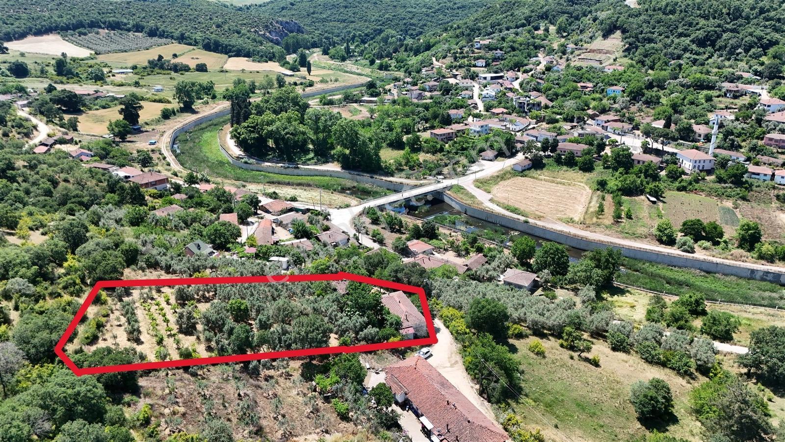 2.500 M² Dereköy'de Zeytinlikle Müstakil Köy Evi Doğa Ve Huzur — fotoğraf 22