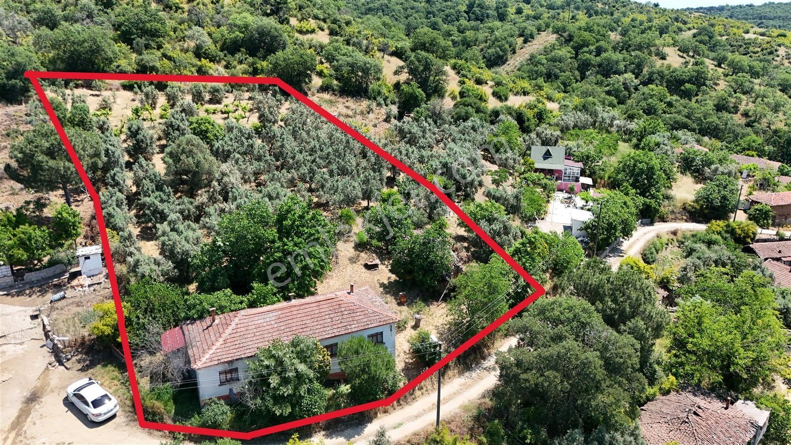 2.500 M² Dereköy'de Zeytinlikle Müstakil Köy Evi Doğa Ve Huzur — fotoğraf 24