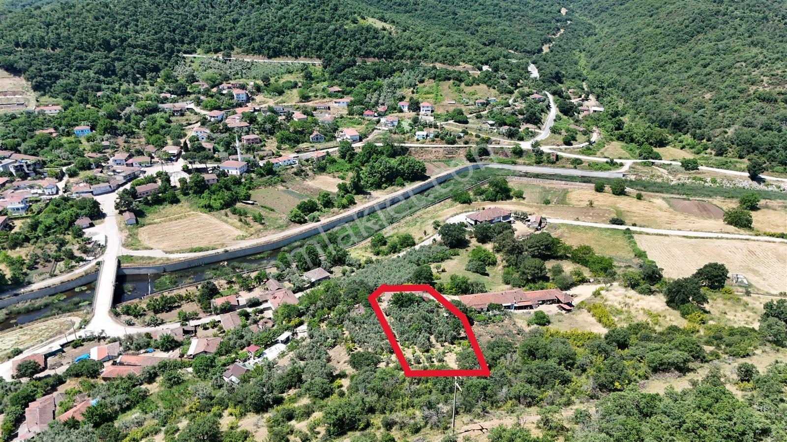 2.500 M² Dereköy'de Zeytinlikle Müstakil Köy Evi Doğa Ve Huzur — fotoğraf 26