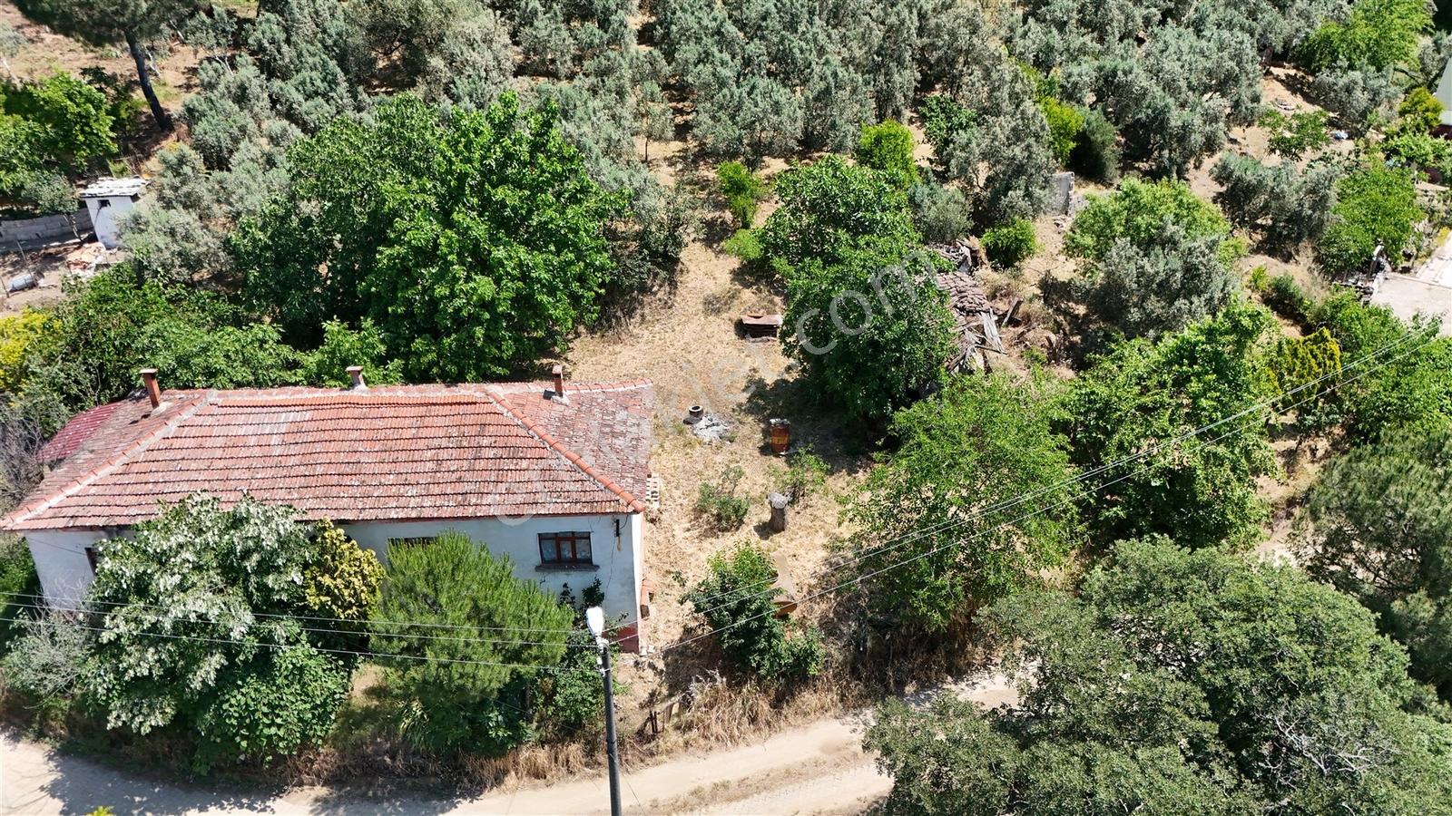 2.500 M² Dereköy'de Zeytinlikle Müstakil Köy Evi Doğa Ve Huzur — fotoğraf 28