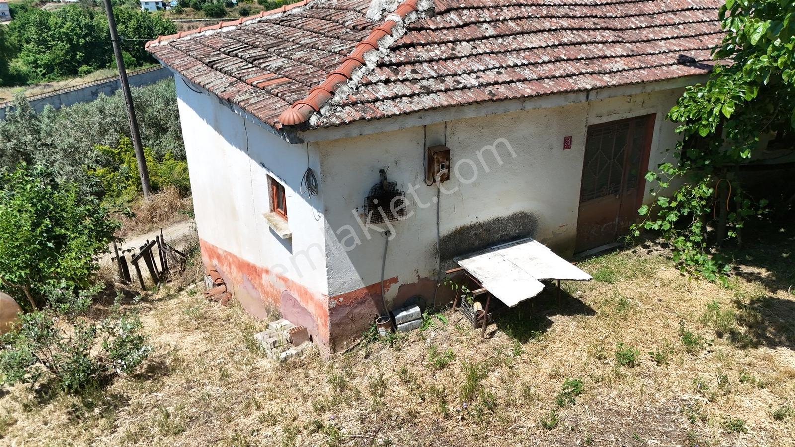 2.500 M² Dereköy'de Zeytinlikle Müstakil Köy Evi Doğa Ve Huzur — fotoğraf 33