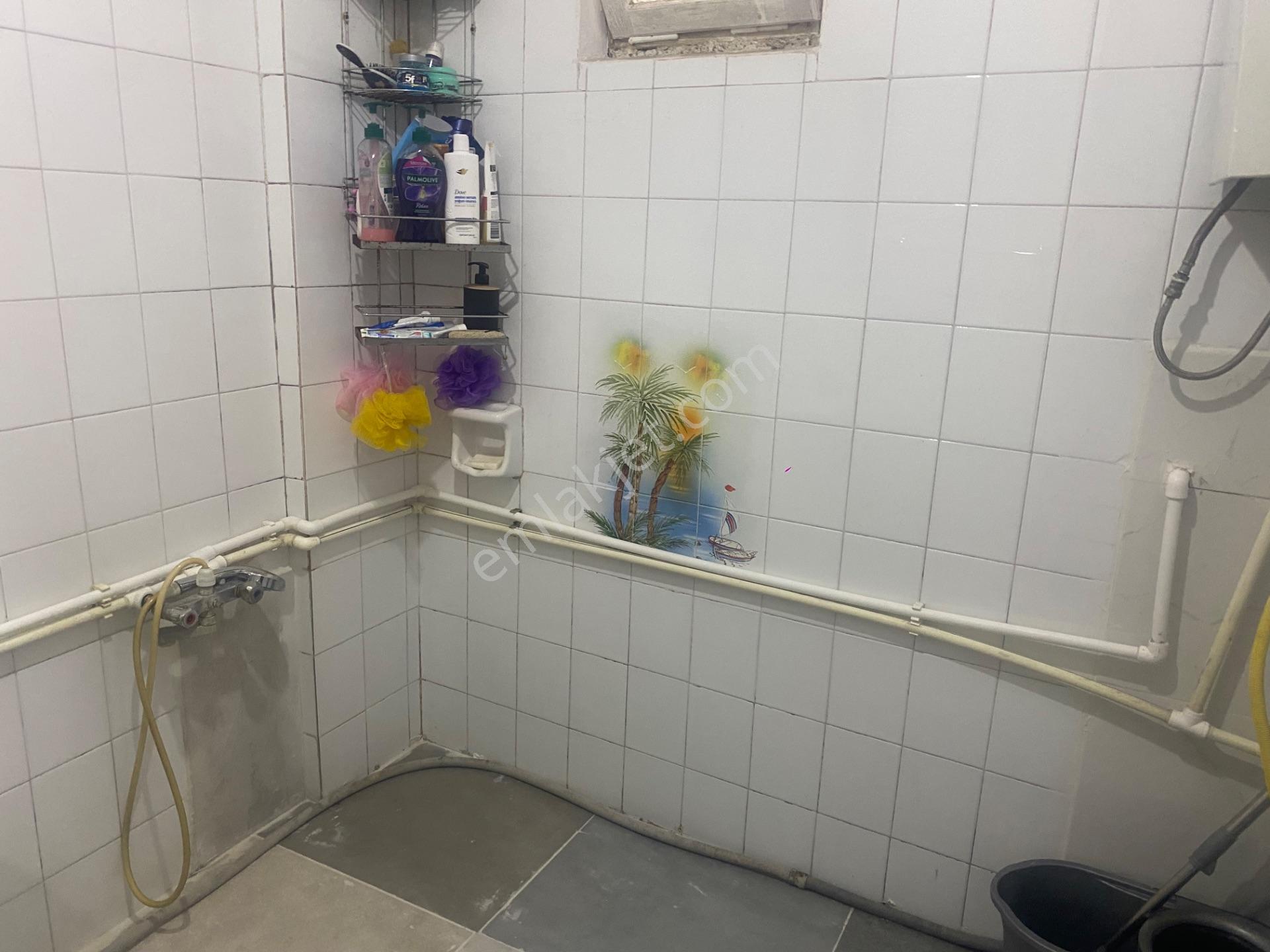 Yeşılyayla Da Üç Katlı Bına Ve Bahçesı — fotoğraf 6