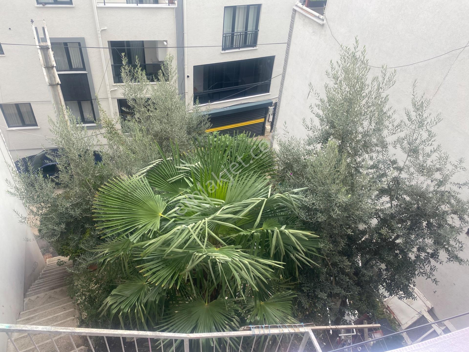 Yeşılyayla Da Üç Katlı Bına Ve Bahçesı — fotoğraf 12