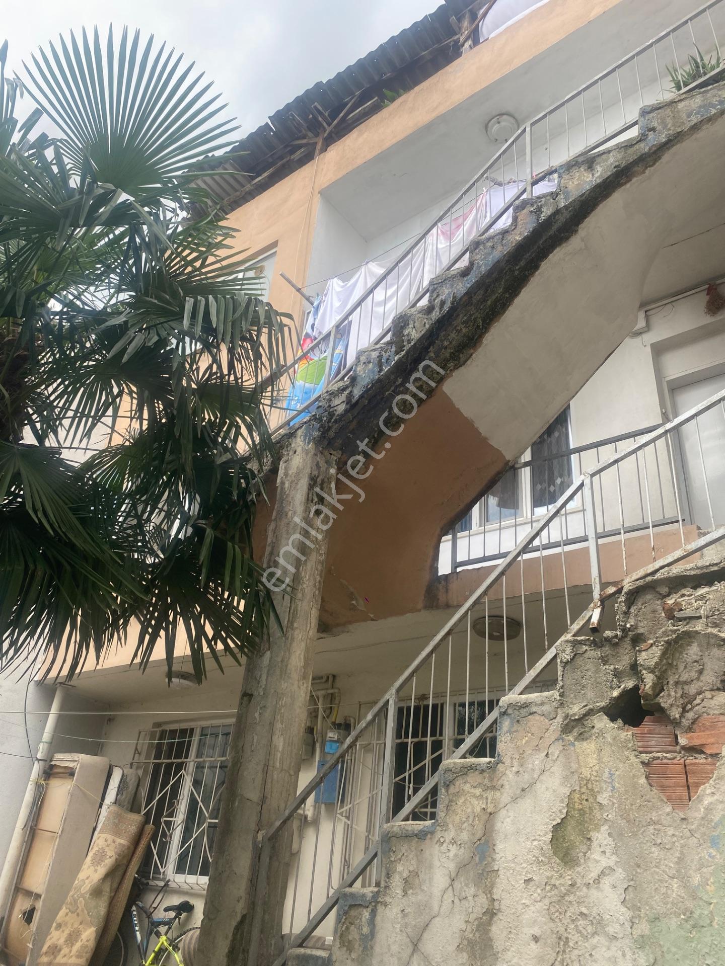 Yeşılyayla Da Üç Katlı Bına Ve Bahçesı — fotoğraf 26