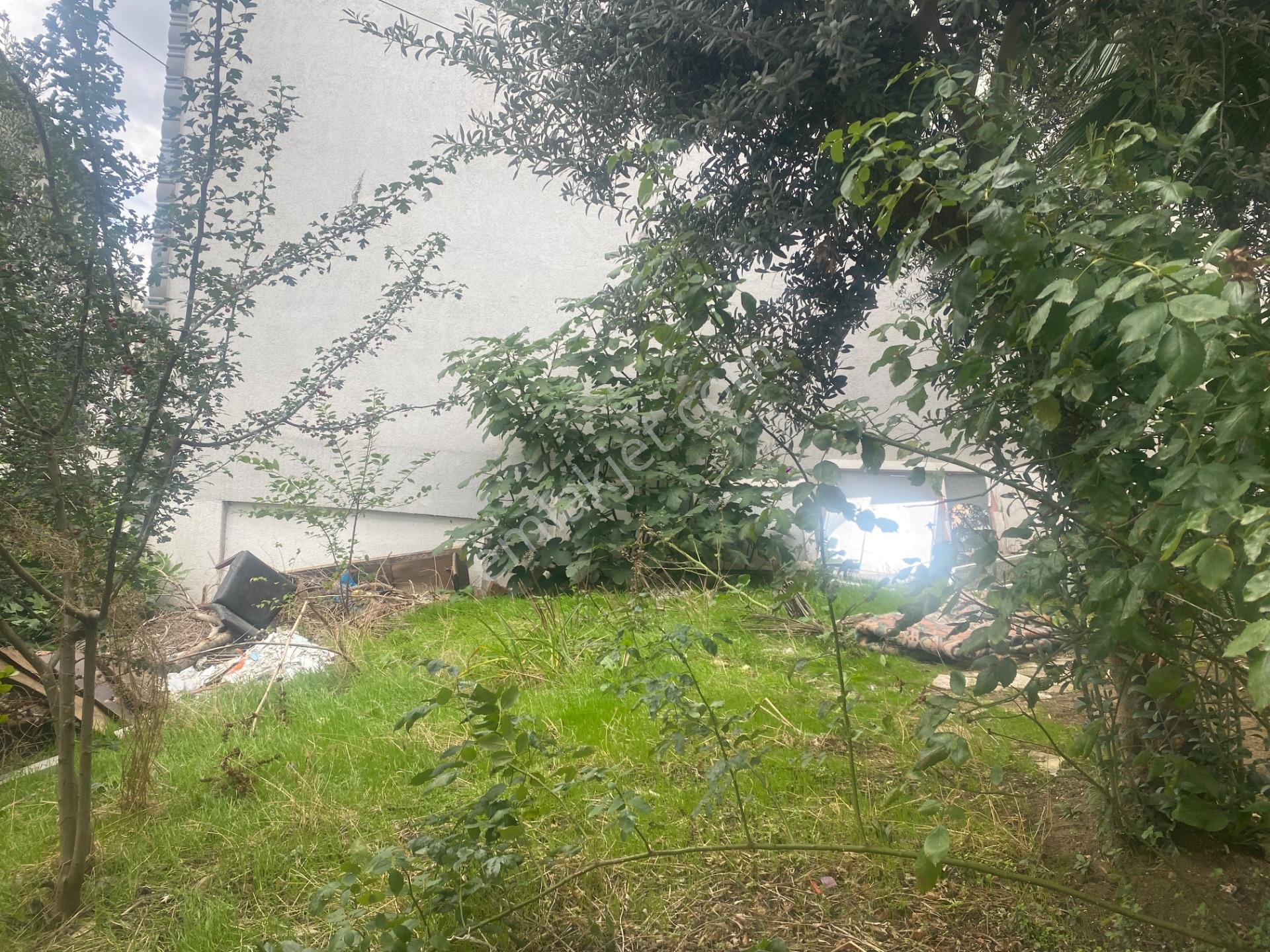 Yeşılyayla Da Üç Katlı Bına Ve Bahçesı — fotoğraf 27